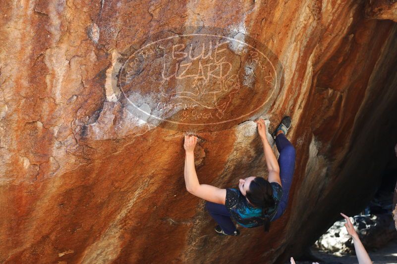 

Filename: SRM_20180127_1705580.jpg
Aperture: f/4.5
Shutter Speed: 1/250
Body: Canon EOS-1D Mark II
Lens: Canon EF 50mm f/1.8 II