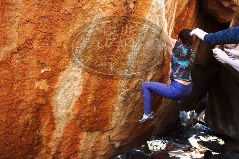 

Filename: SRM_20180127_1711450.jpg
Aperture: f/4.5
Shutter Speed: 1/250
Body: Canon EOS-1D Mark II
Lens: Canon EF 16-35mm f/2.8 L