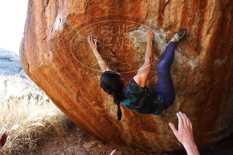 

Filename: SRM_20180127_1718040.jpg
Aperture: f/5.0
Shutter Speed: 1/250
Body: Canon EOS-1D Mark II
Lens: Canon EF 16-35mm f/2.8 L