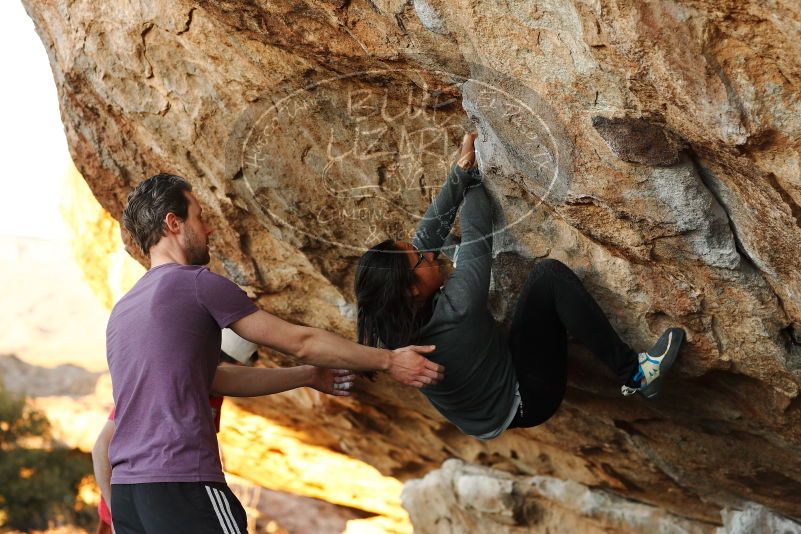 

Filename: SRM_20180127_1815510.jpg
Aperture: f/4.0
Shutter Speed: 1/250
Body: Canon EOS-1D Mark II
Lens: Canon EF 85mm f/1.2 L II