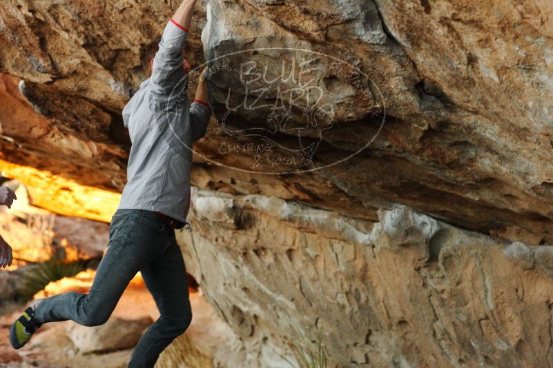 

Filename: SRM_20180127_1820551.jpg
Aperture: f/4.0
Shutter Speed: 1/320
Body: Canon EOS-1D Mark II
Lens: Canon EF 85mm f/1.2 L II