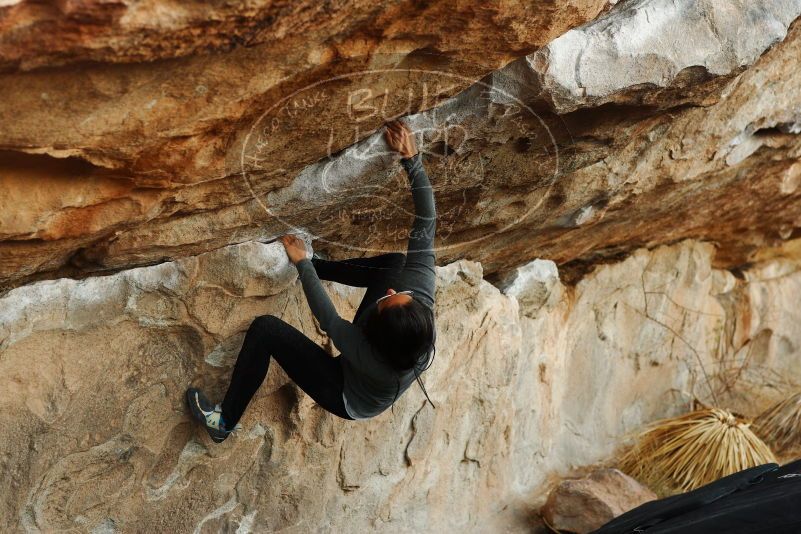 

Filename: SRM_20180127_1822520.jpg
Aperture: f/4.0
Shutter Speed: 1/200
Body: Canon EOS-1D Mark II
Lens: Canon EF 85mm f/1.2 L II