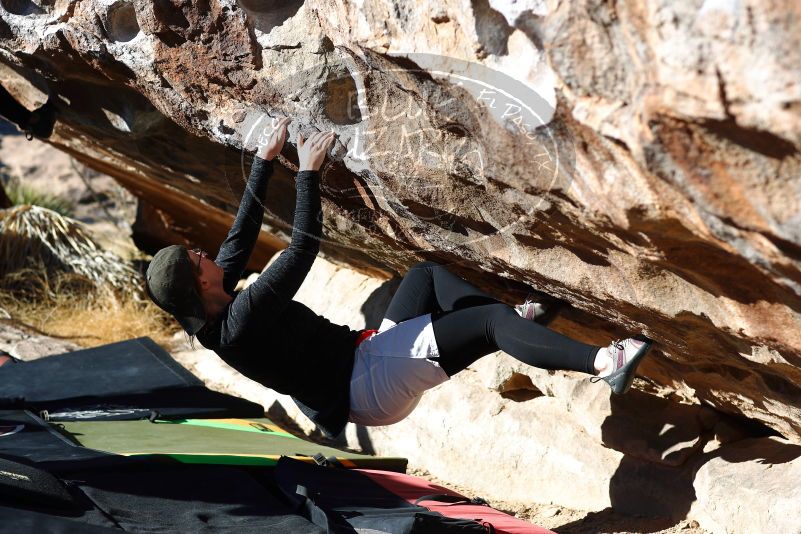 

Filename: SRM_20180127_1035020.jpg
Aperture: f/4.0
Shutter Speed: 1/500
Body: Canon EOS-1D Mark II
Lens: Canon EF 85mm f/1.2 L II