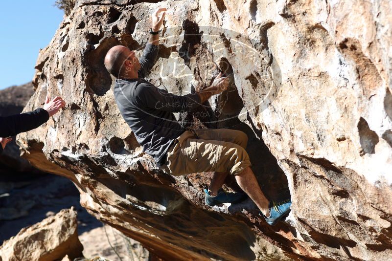 

Filename: SRM_20180127_1039330.jpg
Aperture: f/4.0
Shutter Speed: 1/500
Body: Canon EOS-1D Mark II
Lens: Canon EF 85mm f/1.2 L II