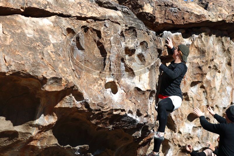 

Filename: SRM_20180127_1053210.jpg
Aperture: f/4.0
Shutter Speed: 1/800
Body: Canon EOS-1D Mark II
Lens: Canon EF 85mm f/1.2 L II