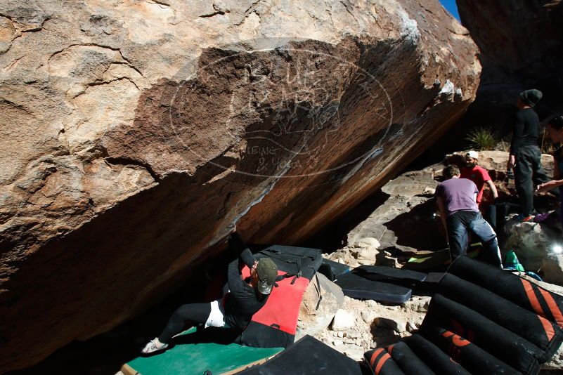 

Filename: SRM_20180127_1223440.jpg
Aperture: f/8.0
Shutter Speed: 1/250
Body: Canon EOS-1D Mark II
Lens: Canon EF 16-35mm f/2.8 L