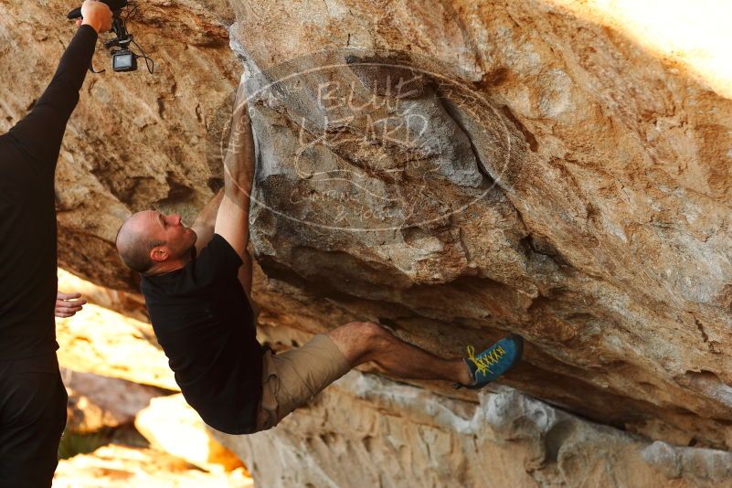 

Filename: SRM_20180127_1806150.jpg
Aperture: f/4.0
Shutter Speed: 1/200
Body: Canon EOS-1D Mark II
Lens: Canon EF 85mm f/1.2 L II