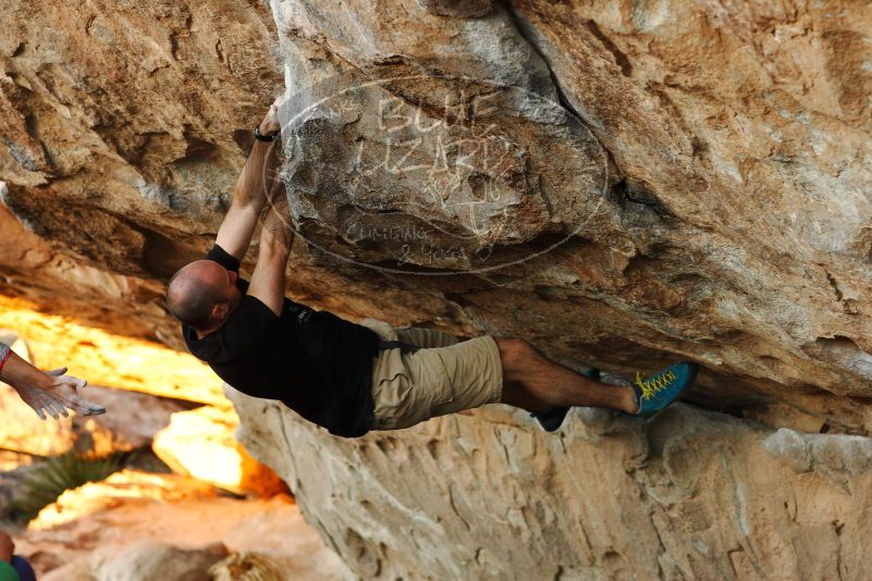 

Filename: SRM_20180127_1818500.jpg
Aperture: f/4.0
Shutter Speed: 1/250
Body: Canon EOS-1D Mark II
Lens: Canon EF 85mm f/1.2 L II