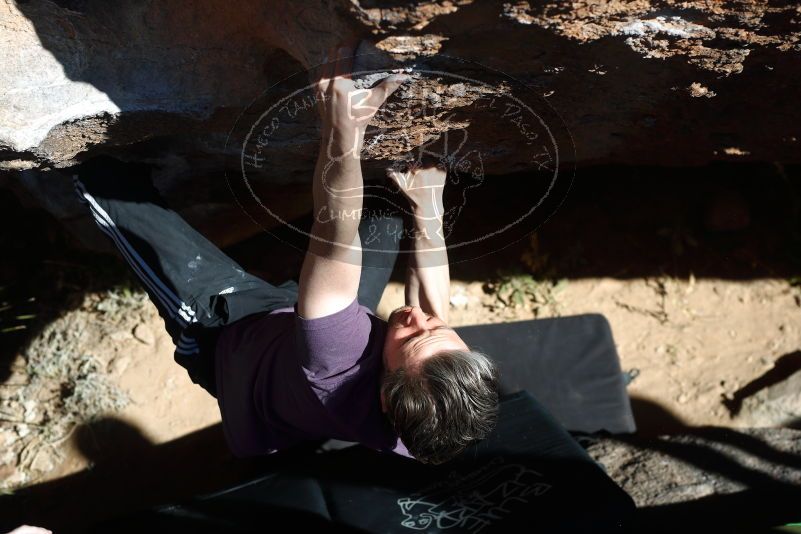 

Filename: SRM_20180127_1440350.jpg
Aperture: f/5.0
Shutter Speed: 1/400
Body: Canon EOS-1D Mark II
Lens: Canon EF 50mm f/1.8 II