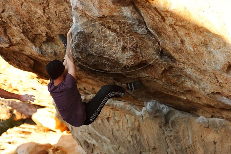 

Filename: SRM_20180127_1802130.jpg
Aperture: f/4.0
Shutter Speed: 1/250
Body: Canon EOS-1D Mark II
Lens: Canon EF 85mm f/1.2 L II