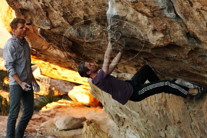 

Filename: SRM_20180127_1819410.jpg
Aperture: f/4.0
Shutter Speed: 1/320
Body: Canon EOS-1D Mark II
Lens: Canon EF 85mm f/1.2 L II