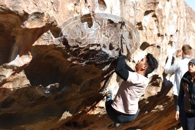 

Filename: SRM_20180127_1058370.jpg
Aperture: f/4.0
Shutter Speed: 1/500
Body: Canon EOS-1D Mark II
Lens: Canon EF 85mm f/1.2 L II