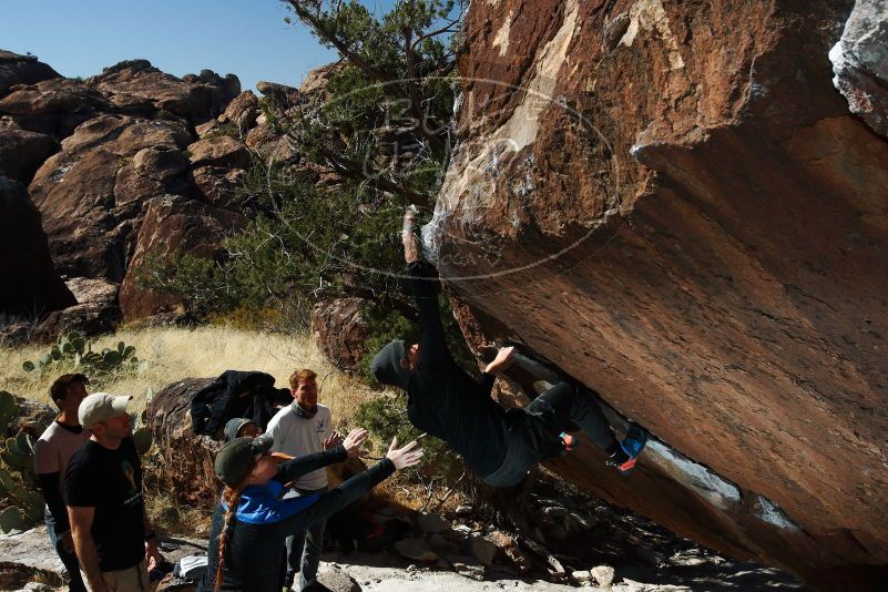 

Filename: SRM_20180127_1219540.jpg
Aperture: f/8.0
Shutter Speed: 1/250
Body: Canon EOS-1D Mark II
Lens: Canon EF 16-35mm f/2.8 L