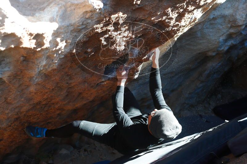 

Filename: SRM_20180127_1450420.jpg
Aperture: f/3.5
Shutter Speed: 1/250
Body: Canon EOS-1D Mark II
Lens: Canon EF 50mm f/1.8 II