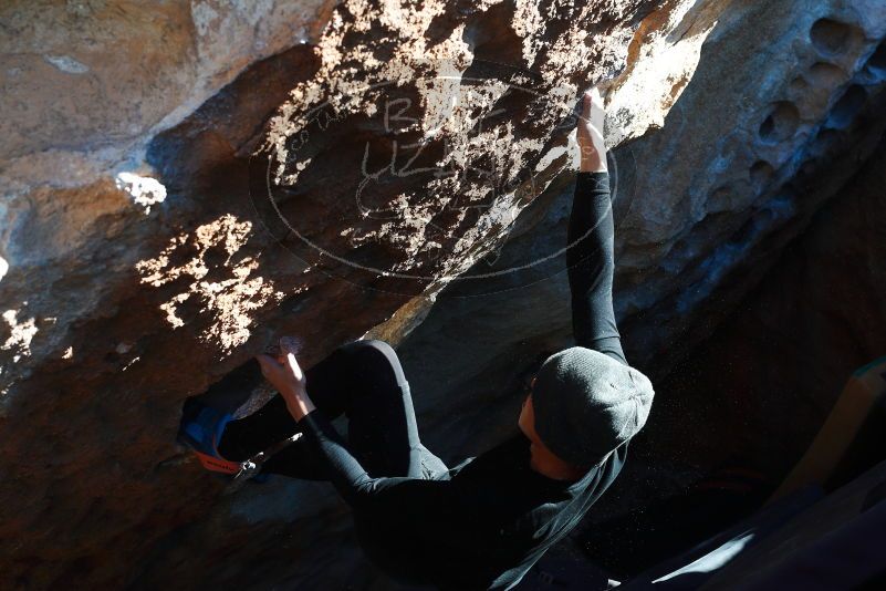 

Filename: SRM_20180127_1450540.jpg
Aperture: f/5.0
Shutter Speed: 1/250
Body: Canon EOS-1D Mark II
Lens: Canon EF 50mm f/1.8 II