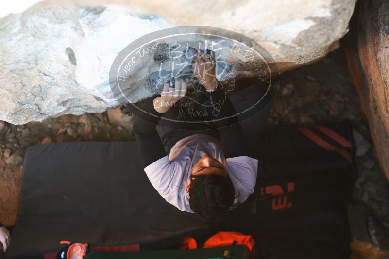 

Filename: SRM_20180127_1504380.jpg
Aperture: f/3.2
Shutter Speed: 1/250
Body: Canon EOS-1D Mark II
Lens: Canon EF 50mm f/1.8 II