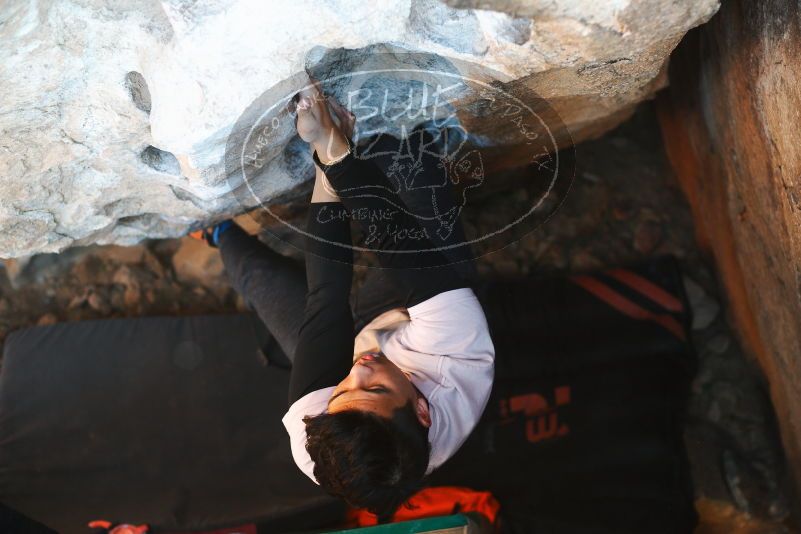 

Filename: SRM_20180127_1504420.jpg
Aperture: f/2.8
Shutter Speed: 1/250
Body: Canon EOS-1D Mark II
Lens: Canon EF 50mm f/1.8 II