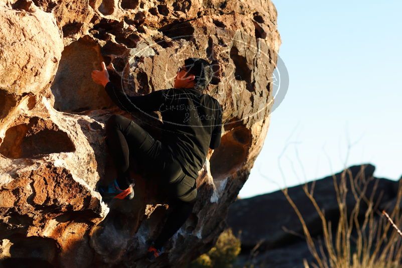 

Filename: SRM_20180127_1800560.jpg
Aperture: f/2.8
Shutter Speed: 1/2000
Body: Canon EOS-1D Mark II
Lens: Canon EF 85mm f/1.2 L II