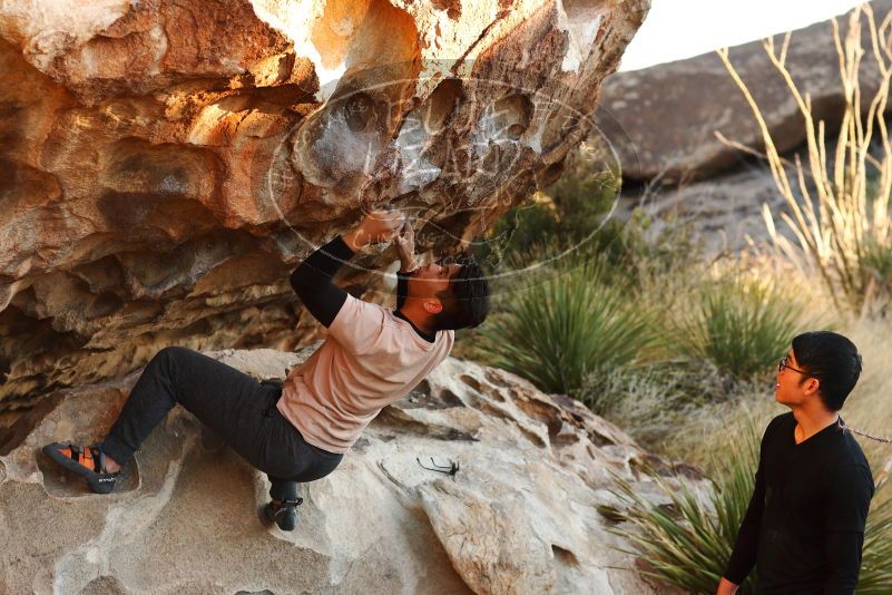 

Filename: SRM_20180127_1804300.jpg
Aperture: f/4.0
Shutter Speed: 1/160
Body: Canon EOS-1D Mark II
Lens: Canon EF 85mm f/1.2 L II