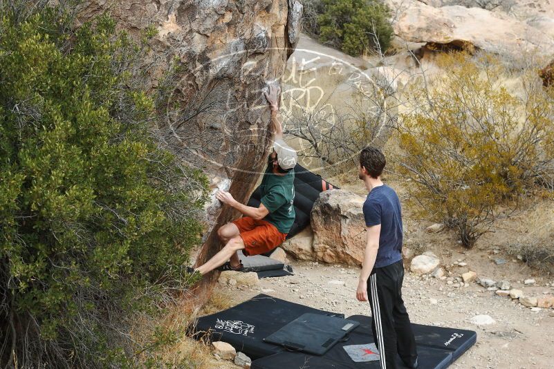 

Filename: SRM_20180126_1031200.jpg
Aperture: f/5.6
Shutter Speed: 1/250
Body: Canon EOS-1D Mark II
Lens: Canon EF 50mm f/1.8 II