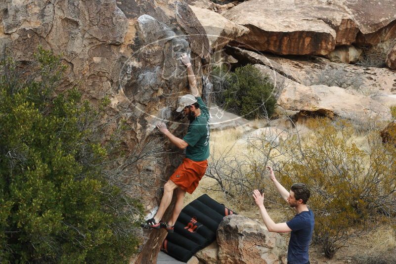 

Filename: SRM_20180126_1031280.jpg
Aperture: f/6.3
Shutter Speed: 1/250
Body: Canon EOS-1D Mark II
Lens: Canon EF 50mm f/1.8 II