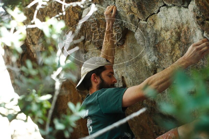 

Filename: SRM_20180126_1219230.jpg
Aperture: f/3.2
Shutter Speed: 1/250
Body: Canon EOS-1D Mark II
Lens: Canon EF 50mm f/1.8 II