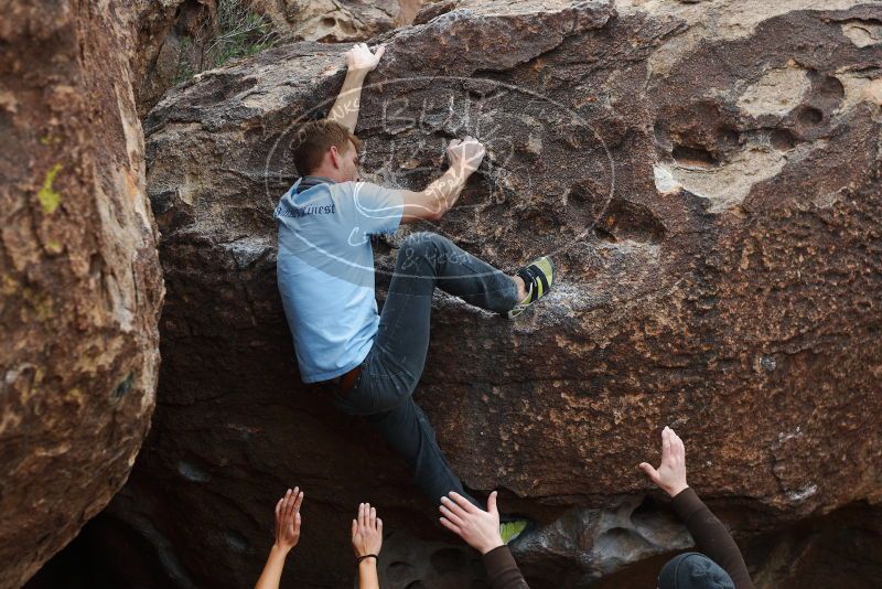 

Filename: SRM_20180126_1034130.jpg
Aperture: f/3.5
Shutter Speed: 1/250
Body: Canon EOS-1D Mark II
Lens: Canon EF 50mm f/1.8 II