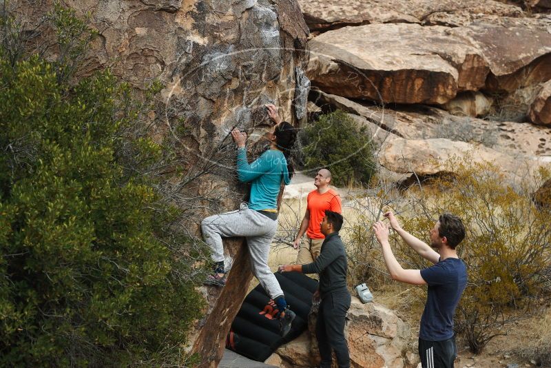 

Filename: SRM_20180126_1037310.jpg
Aperture: f/5.0
Shutter Speed: 1/500
Body: Canon EOS-1D Mark II
Lens: Canon EF 50mm f/1.8 II