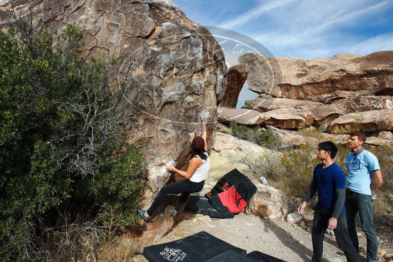 

Filename: SRM_20180126_1048280.jpg
Aperture: f/7.1
Shutter Speed: 1/250
Body: Canon EOS-1D Mark II
Lens: Canon EF 16-35mm f/2.8 L