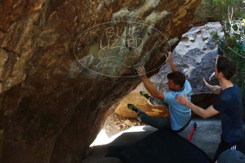 

Filename: SRM_20180126_1154430.jpg
Aperture: f/5.0
Shutter Speed: 1/250
Body: Canon EOS-1D Mark II
Lens: Canon EF 50mm f/1.8 II