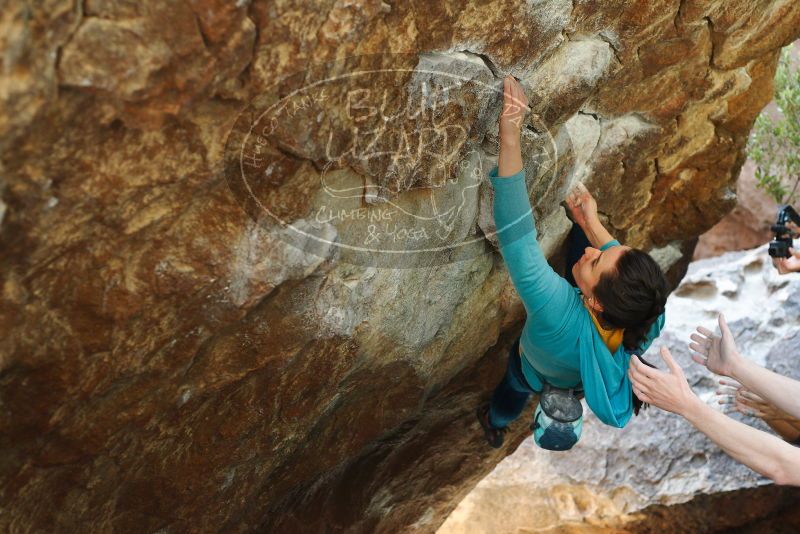 

Filename: SRM_20180126_1201210.jpg
Aperture: f/3.5
Shutter Speed: 1/250
Body: Canon EOS-1D Mark II
Lens: Canon EF 50mm f/1.8 II