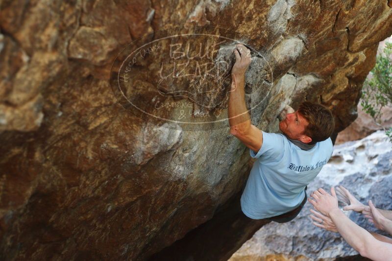 

Filename: SRM_20180126_1233590.jpg
Aperture: f/2.8
Shutter Speed: 1/250
Body: Canon EOS-1D Mark II
Lens: Canon EF 50mm f/1.8 II