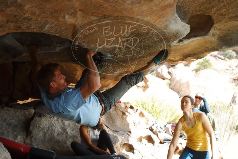 

Filename: SRM_20180126_1342130.jpg
Aperture: f/7.1
Shutter Speed: 1/250
Body: Canon EOS-1D Mark II
Lens: Canon EF 50mm f/1.8 II