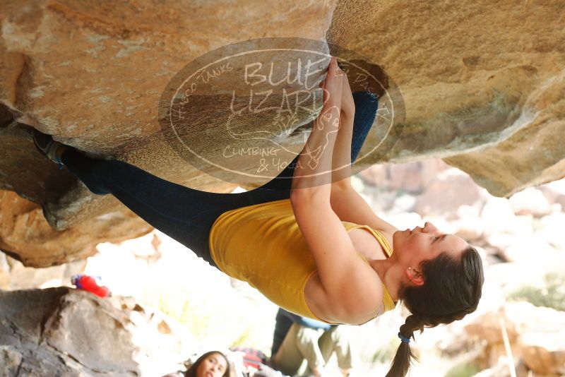 

Filename: SRM_20180126_1345131.jpg
Aperture: f/3.2
Shutter Speed: 1/800
Body: Canon EOS-1D Mark II
Lens: Canon EF 50mm f/1.8 II