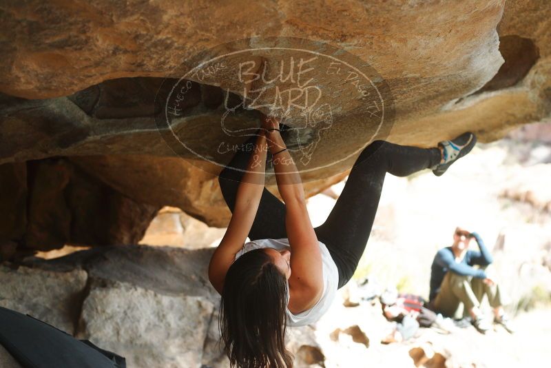 

Filename: SRM_20180126_1349000.jpg
Aperture: f/3.2
Shutter Speed: 1/1000
Body: Canon EOS-1D Mark II
Lens: Canon EF 50mm f/1.8 II