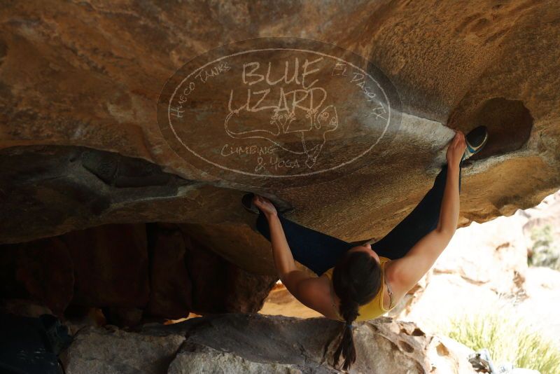 

Filename: SRM_20180126_1403420.jpg
Aperture: f/4.0
Shutter Speed: 1/800
Body: Canon EOS-1D Mark II
Lens: Canon EF 50mm f/1.8 II