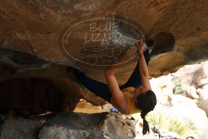 

Filename: SRM_20180126_1403440.jpg
Aperture: f/4.0
Shutter Speed: 1/1000
Body: Canon EOS-1D Mark II
Lens: Canon EF 50mm f/1.8 II