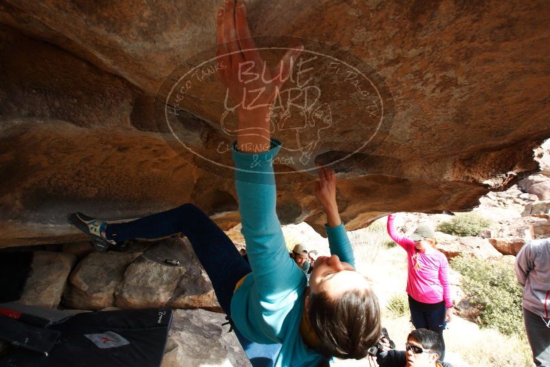 

Filename: SRM_20180126_1456170.jpg
Aperture: f/6.3
Shutter Speed: 1/250
Body: Canon EOS-1D Mark II
Lens: Canon EF 16-35mm f/2.8 L