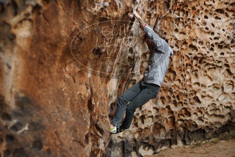 

Filename: SRM_20180126_1543210.jpg
Aperture: f/2.5
Shutter Speed: 1/250
Body: Canon EOS-1D Mark II
Lens: Canon EF 50mm f/1.8 II