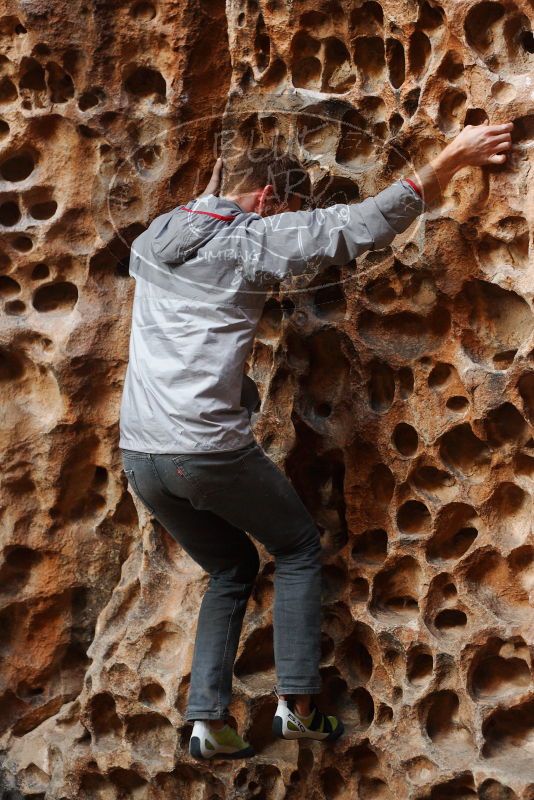 

Filename: SRM_20180126_1550360.jpg
Aperture: f/3.5
Shutter Speed: 1/160
Body: Canon EOS-1D Mark II
Lens: Canon EF 50mm f/1.8 II