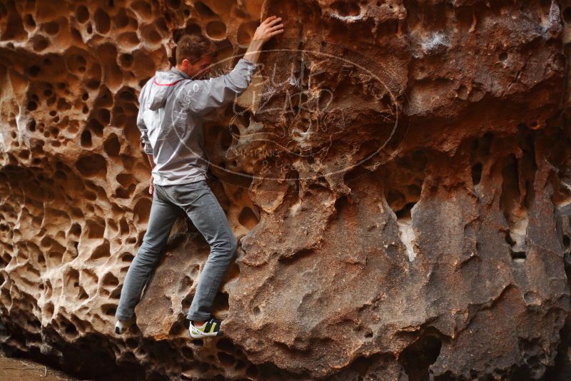 

Filename: SRM_20180126_1558340.jpg
Aperture: f/2.2
Shutter Speed: 1/160
Body: Canon EOS-1D Mark II
Lens: Canon EF 50mm f/1.8 II