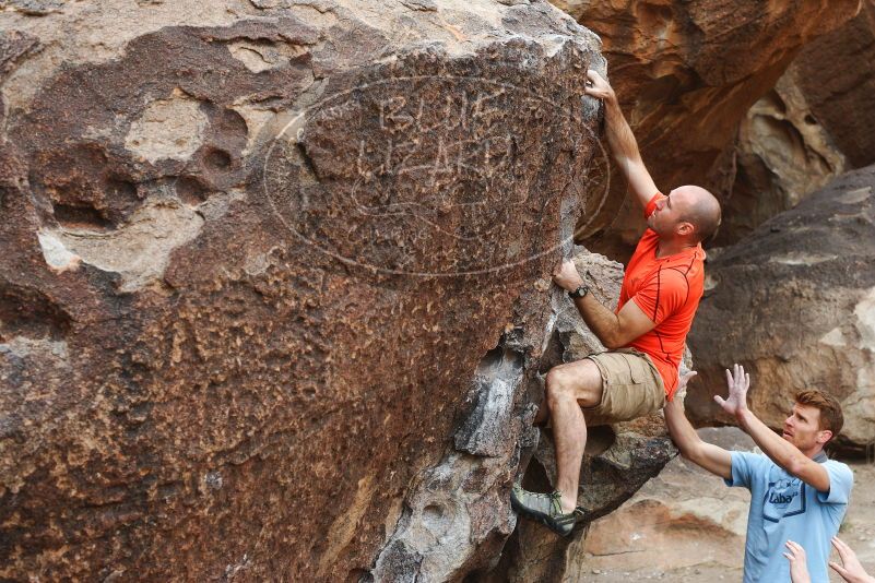 

Filename: SRM_20180126_1028300.jpg
Aperture: f/5.0
Shutter Speed: 1/250
Body: Canon EOS-1D Mark II
Lens: Canon EF 50mm f/1.8 II