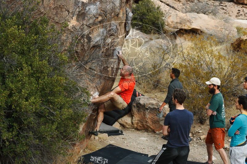 

Filename: SRM_20180126_1036200.jpg
Aperture: f/8.0
Shutter Speed: 1/250
Body: Canon EOS-1D Mark II
Lens: Canon EF 50mm f/1.8 II