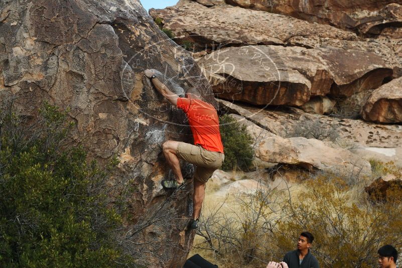 

Filename: SRM_20180126_1036330.jpg
Aperture: f/5.6
Shutter Speed: 1/500
Body: Canon EOS-1D Mark II
Lens: Canon EF 50mm f/1.8 II