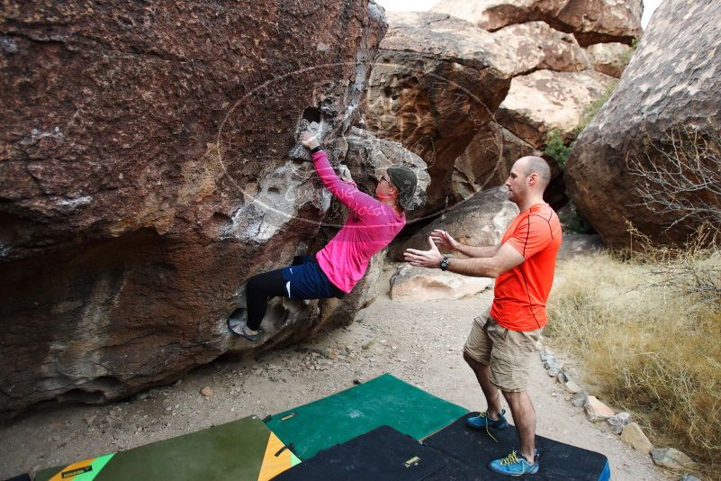 

Filename: SRM_20180126_1043000.jpg
Aperture: f/3.2
Shutter Speed: 1/250
Body: Canon EOS-1D Mark II
Lens: Canon EF 16-35mm f/2.8 L