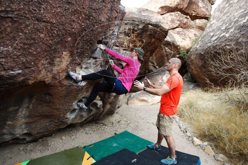 

Filename: SRM_20180126_1043050.jpg
Aperture: f/3.5
Shutter Speed: 1/200
Body: Canon EOS-1D Mark II
Lens: Canon EF 16-35mm f/2.8 L