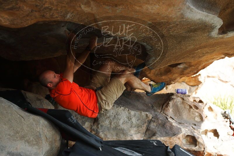 

Filename: SRM_20180126_1406220.jpg
Aperture: f/4.0
Shutter Speed: 1/400
Body: Canon EOS-1D Mark II
Lens: Canon EF 50mm f/1.8 II