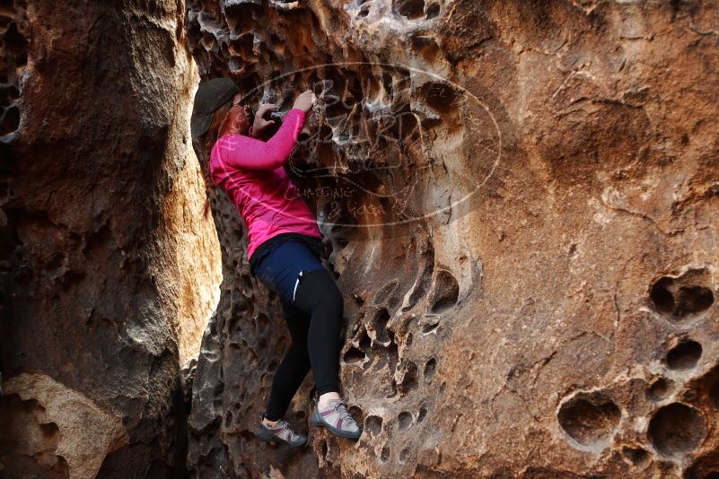 

Filename: SRM_20180126_1548530.jpg
Aperture: f/2.8
Shutter Speed: 1/160
Body: Canon EOS-1D Mark II
Lens: Canon EF 50mm f/1.8 II