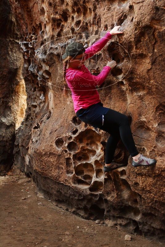 

Filename: SRM_20180126_1552350.jpg
Aperture: f/2.8
Shutter Speed: 1/160
Body: Canon EOS-1D Mark II
Lens: Canon EF 50mm f/1.8 II