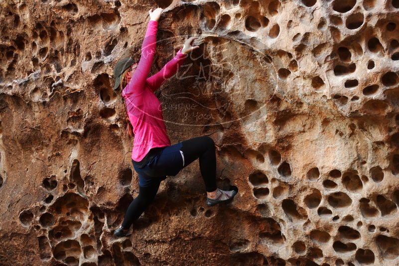 

Filename: SRM_20180126_1552420.jpg
Aperture: f/3.2
Shutter Speed: 1/160
Body: Canon EOS-1D Mark II
Lens: Canon EF 50mm f/1.8 II